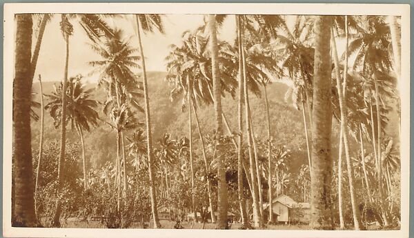 [88 Snapshots of South Seas Trip: Cressida Details, Portraits, Landscapes], Walker Evans (American, St. Louis, Missouri 1903–1975 New Haven, Connecticut), Gelatin silver print