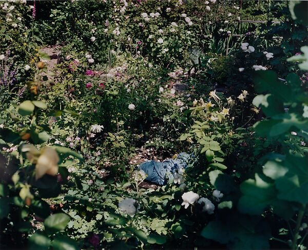 Untitled, New York, Mitch Epstein (American, born 1952), Chromogenic print 