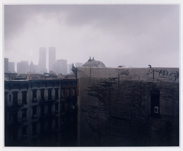 Untitled, New York, Mitch Epstein (American, born 1952), Chromogenic print 