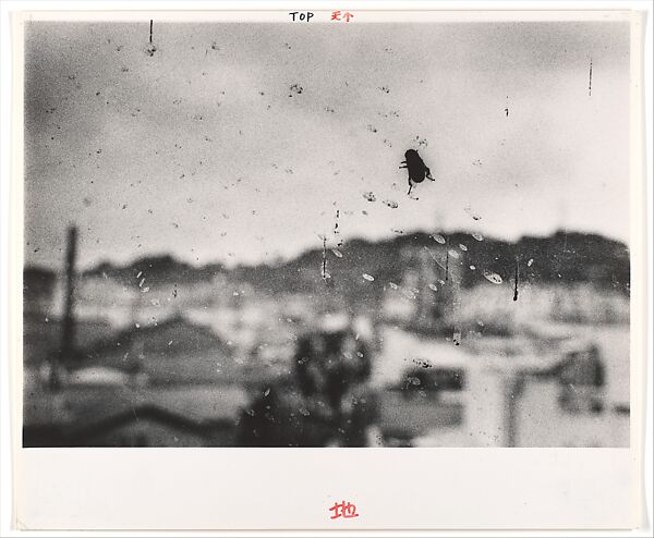 Suwa, Nagano, Daidō Moriyama (Japanese, born Ikeda, Osaka, 1938), Gelatin silver print 