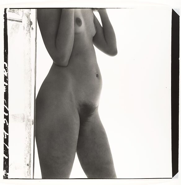 Nude No. 19, Irving Penn (American, Plainfield, New Jersey 1917–2009 New York), Gelatin silver print 