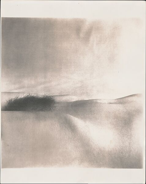 Nude No. 43, Irving Penn (American, Plainfield, New Jersey 1917–2009 New York), Gelatin silver print