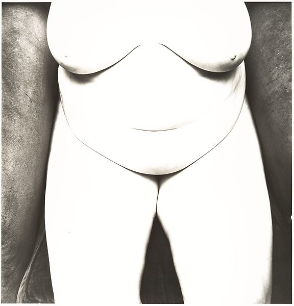 Nude No. 89, Irving Penn (American, Plainfield, New Jersey 1917–2009 New York), Gelatin silver print 
