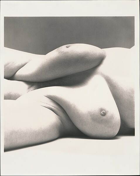 Nude No. 105, Irving Penn (American, Plainfield, New Jersey 1917–2009 New York), Gelatin silver print