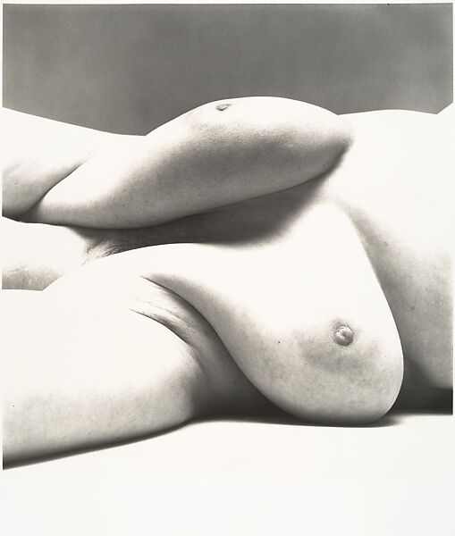 Nude No. 105, Irving Penn  American, Gelatin silver print