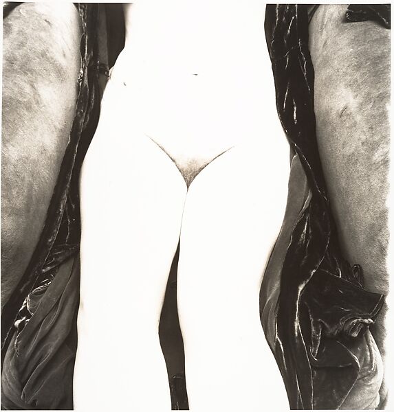 Nude No. 118, Irving Penn  American, Gelatin silver print