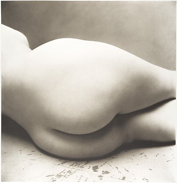 Nude No. 143, Irving Penn (American, Plainfield, New Jersey 1917–2009 New York), Platinum-palladium print 