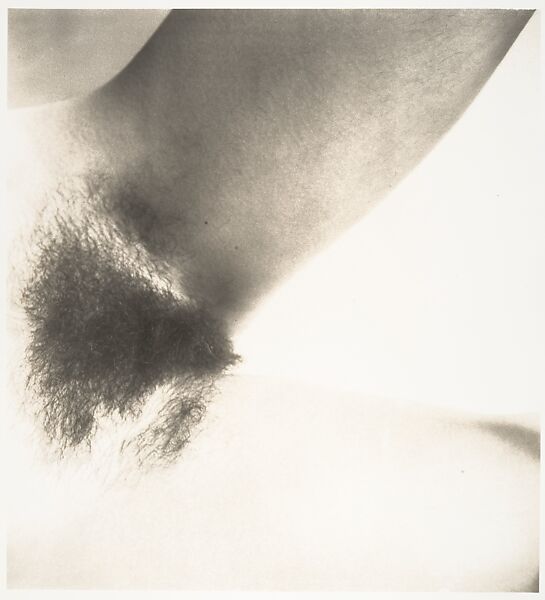 Nude No. 45, Irving Penn (American, Plainfield, New Jersey 1917–2009 New York), Gelatin silver print 