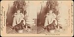 [Miscellaneous Stereographs], Various, Albumen silver prints