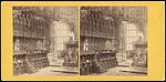 [Miscellaneous Stereographs]