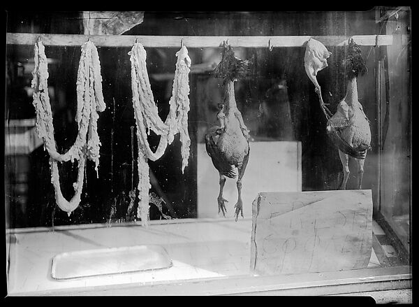 [Poultry Shop Window Display, New York City?]