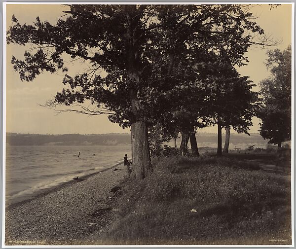 Cayuga Lake Sheldrake L.V.R.R., William H. Rau (American, 1855–1920), Albumen silver print from glass negative 