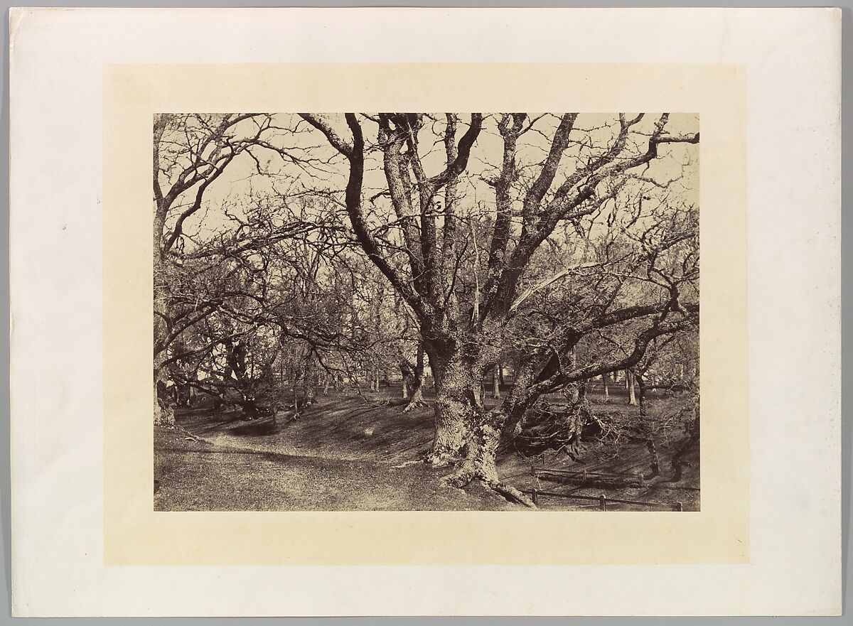 Pepperharrow Park, Surrey, Benjamin Brecknell Turner (British, 1815–1894), Albumen silver print from paper negative 