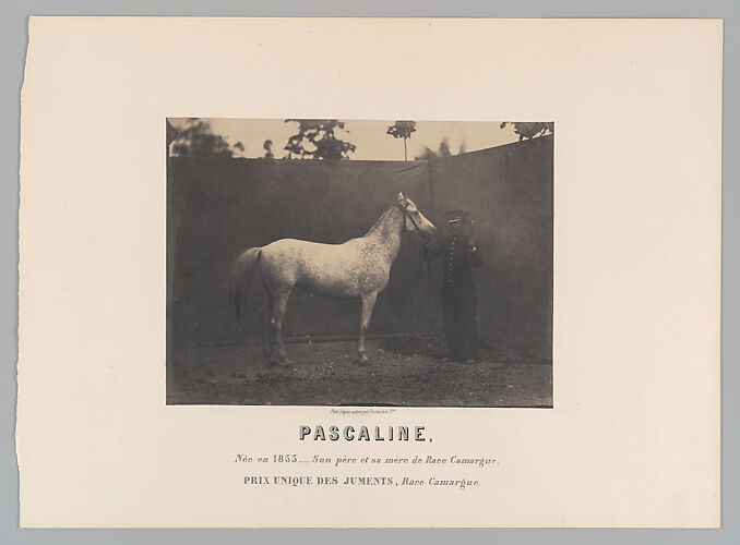 Pascaline