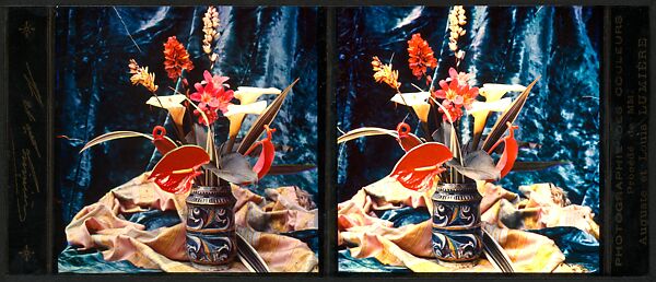 [Still Life of Flowers in a Stein], Auguste-Marie-Louis-Nicolas Lumière (French, Besançon 1862–1954 Lyon) and, Trichromie