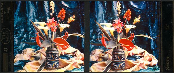 [Still Life of Flowers in a Stein], Auguste-Marie-Louis-Nicolas Lumière (French, Besançon 1862–1954 Lyon) and, Trichromie