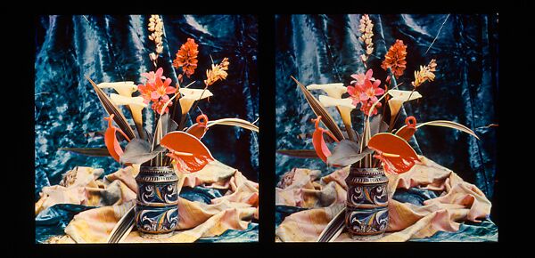 [Still Life of Flowers in a Stein]