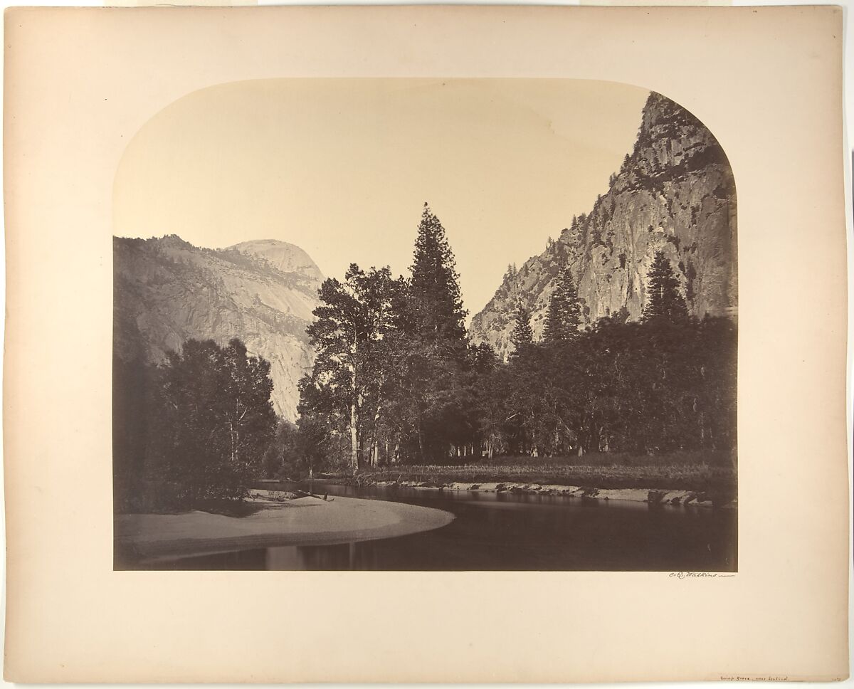 Camp Grove, Near Sentinel, Carleton E. Watkins (American, 1829–1916), Albumen silver print from glass negative 