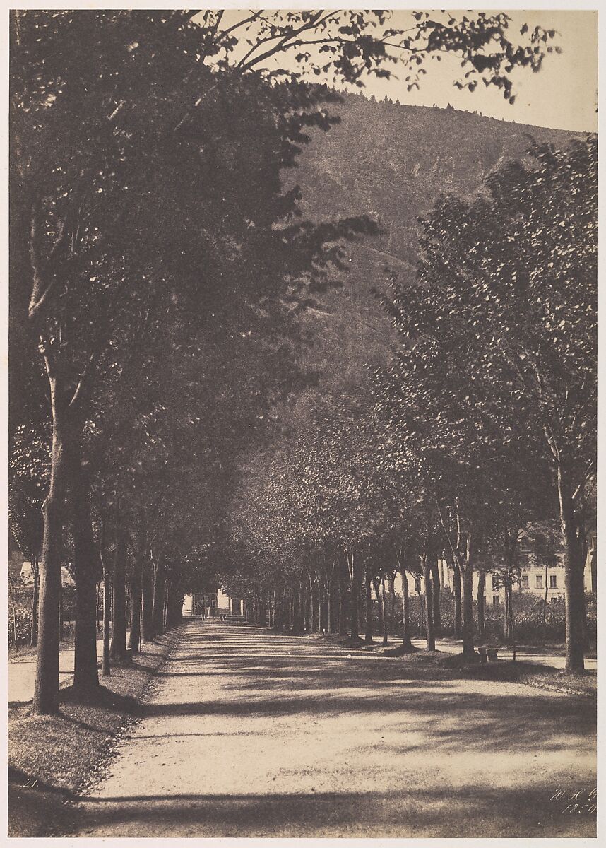 [Allée of Trees, Pau], William Henri Gebhard (American, 1827–1905), Salted paper print from paper negative 