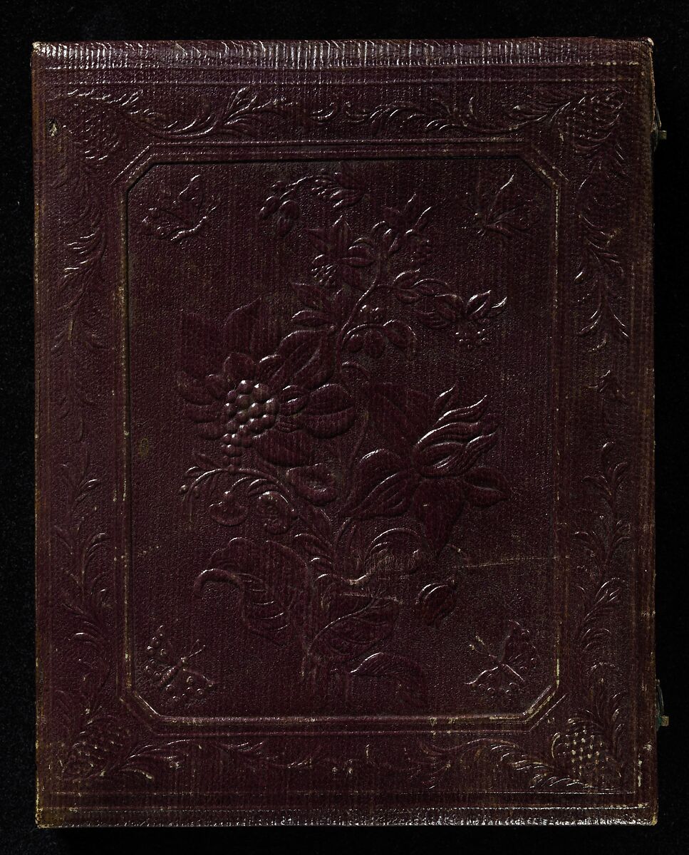 William and Sophia Palmer Langenheim, W. &amp; F. Langenheim (American, active 1843–1874), Daguerreotype