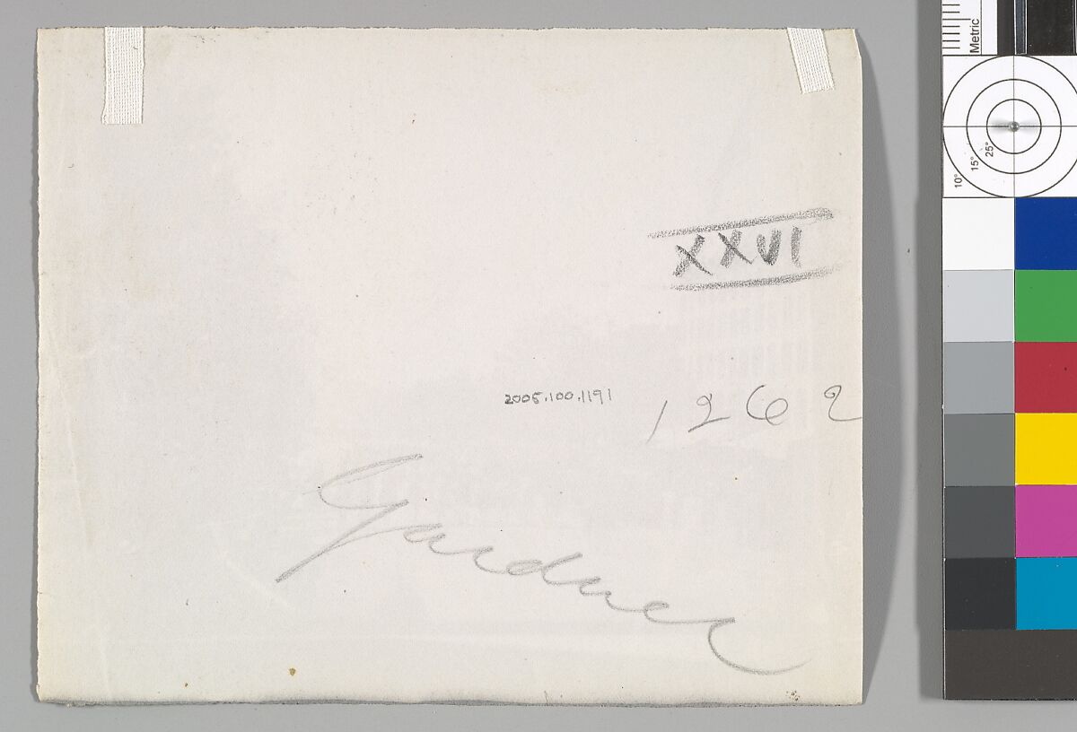 [Grand Army Review, Washington, D.C.], Alexander Gardner (American, Glasgow, Scotland 1821–1882 Washington, D.C.), Albumen silver print from glass negative