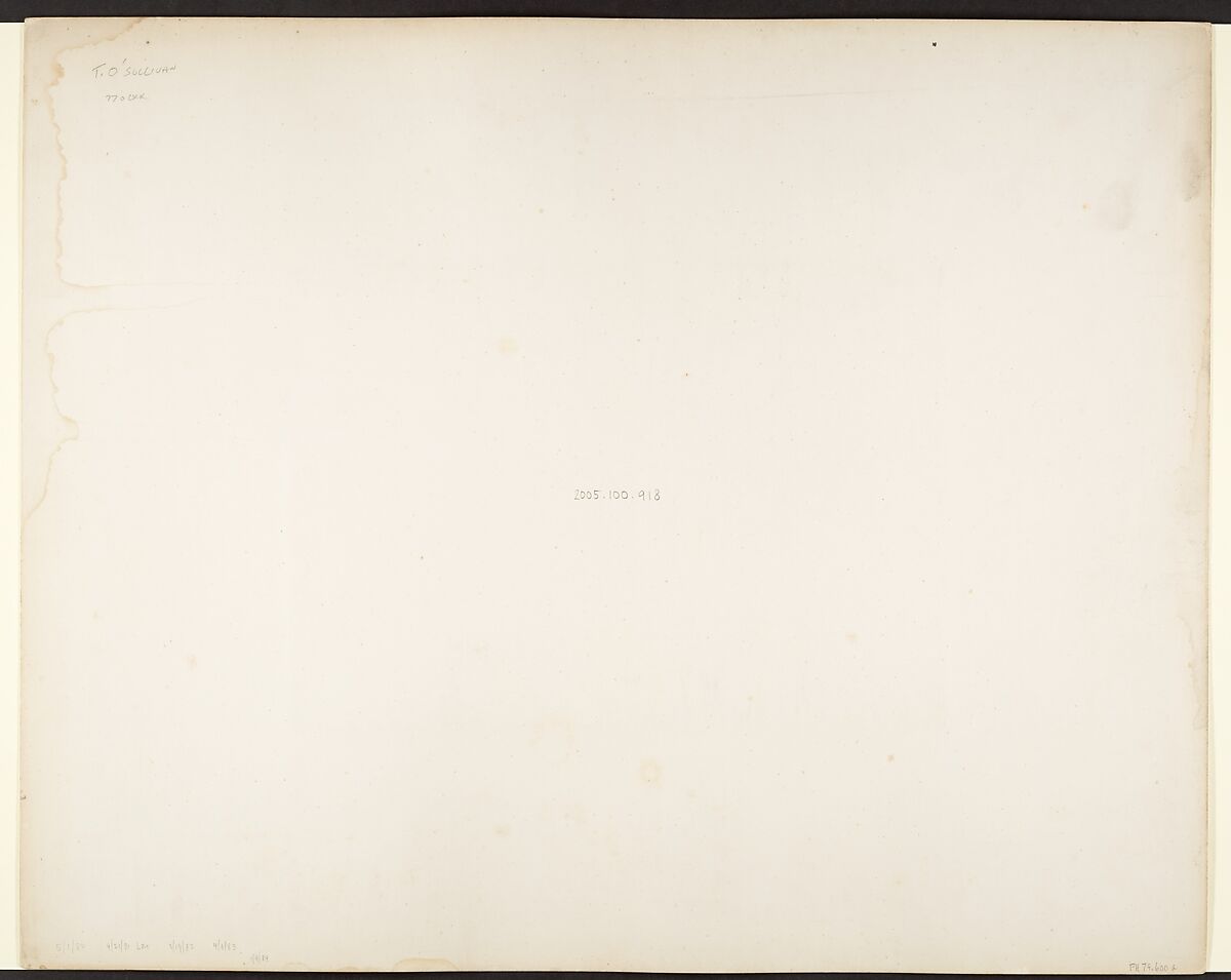 Tropical Scenery, Street, Chipigana, John Moran (American (born England), Bolton, Lancashire 1821–1903 Pennsylvania), Albumen silver print from glass negative