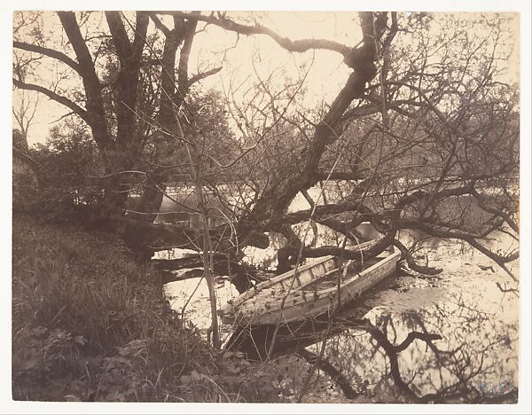 Etang, Ville-d'Avray, Eugène Atget (French, Libourne 1857–1927 Paris), Matte albumen silver print from glass negative 