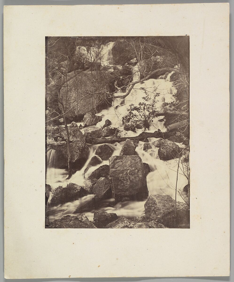 [Trees and Waterfalls], Charles Nègre (French, 1820–1880), Albumen silver print from glass negative 