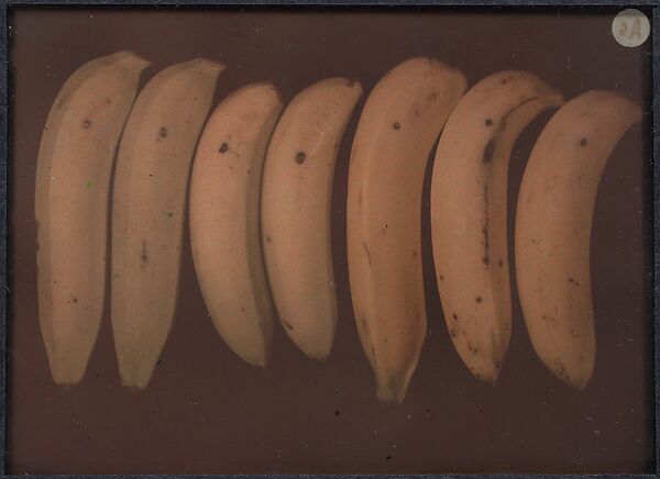 [Bananas], Frederick Dellenbaugh (American, 1853–1935), Autochrome