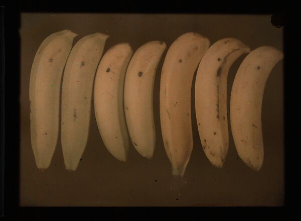 [Bananas], Frederick Dellenbaugh (American, 1853–1935), Autochrome 