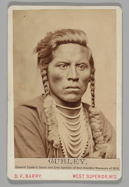 Curley, General Custer's Scout, David F. Barry (American, 1854–1934), Albumen silver print from glass negative 