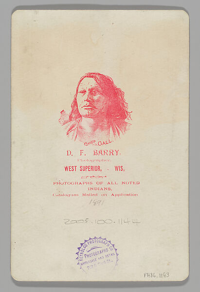 Curley, General Custer's Scout, David F. Barry (American, 1854–1934), Albumen silver print from glass negative