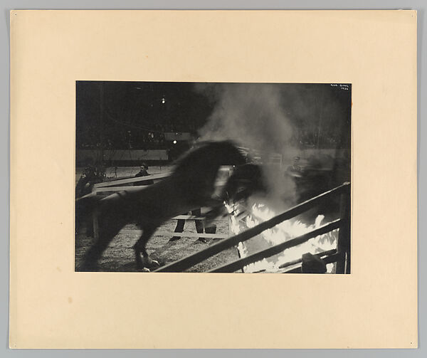 [Horses Jumping through Fire, New York Circus, Paris 1936], Ilse Bing (German, 1899–1998), Gelatin silver print 