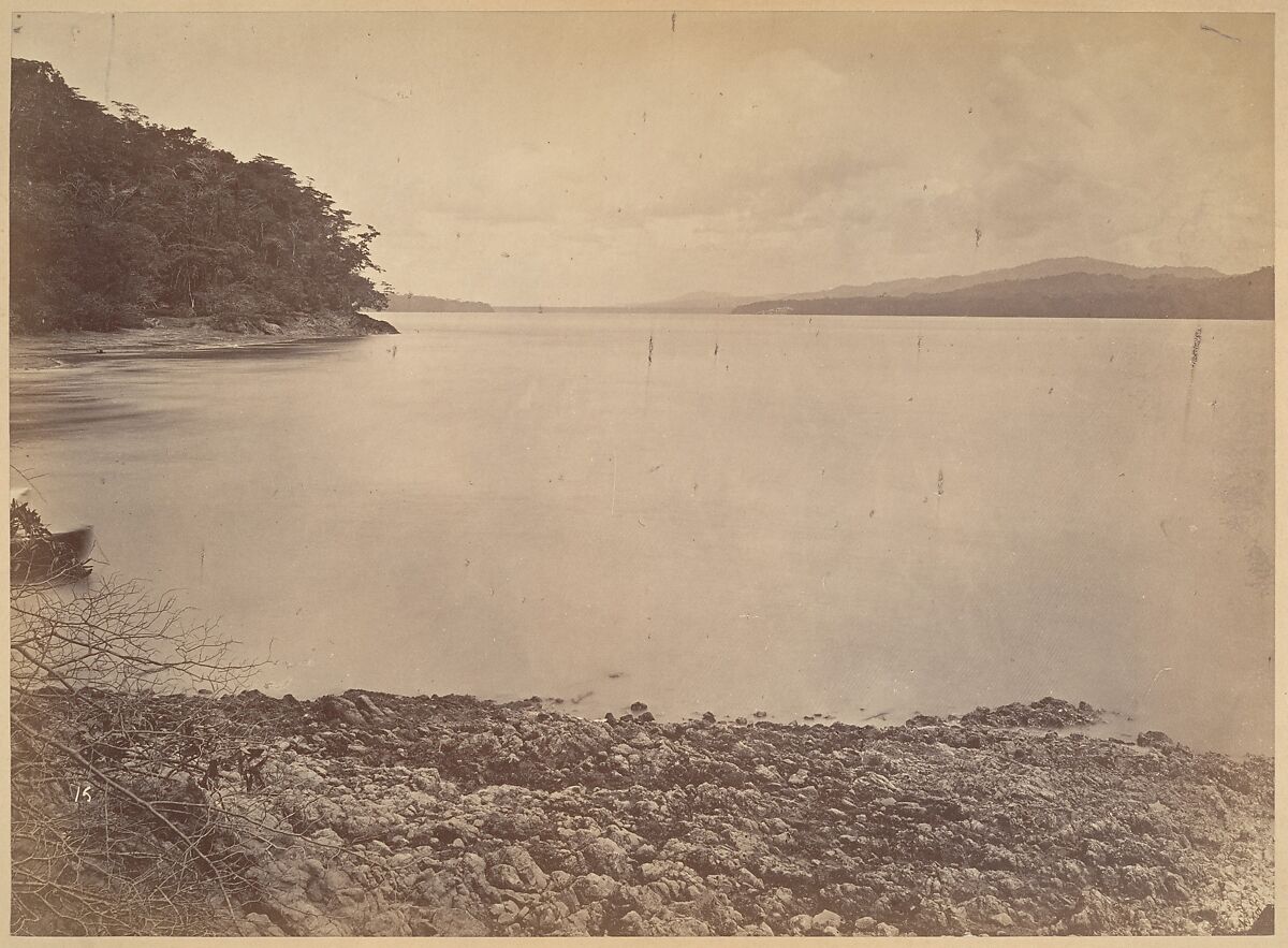 Tropical Scenery, Darien Harbor - Looking South, John Moran (American (born England), Bolton, Lancashire 1821–1903 Pennsylvania), Albumen silver print from glass negative 