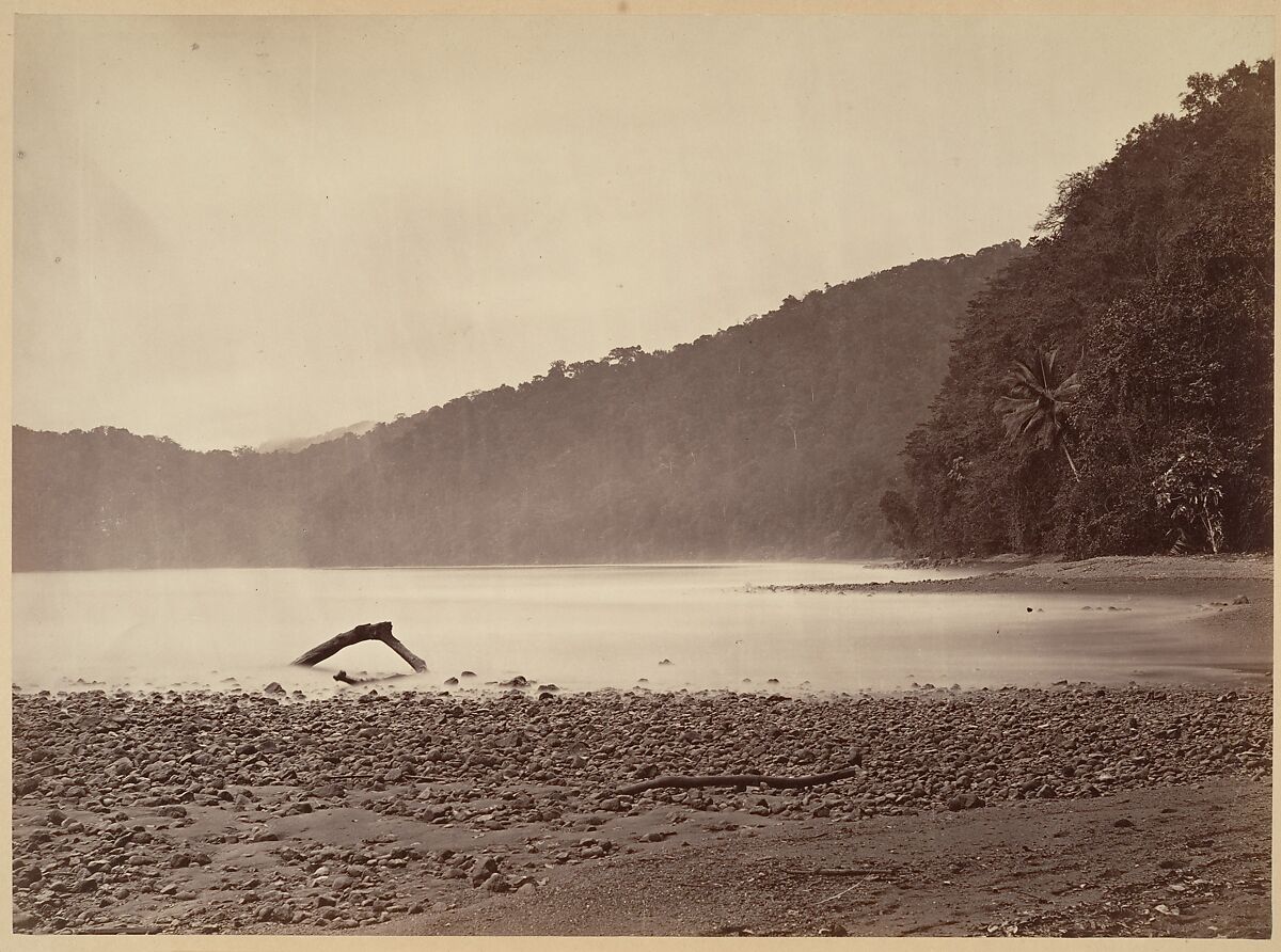 Tropical Scenery, The Terminus of the Proposed Canal, Limon Bay, John Moran (American (born England), Bolton, Lancashire 1821–1903 Pennsylvania), Albumen silver print from glass negative 