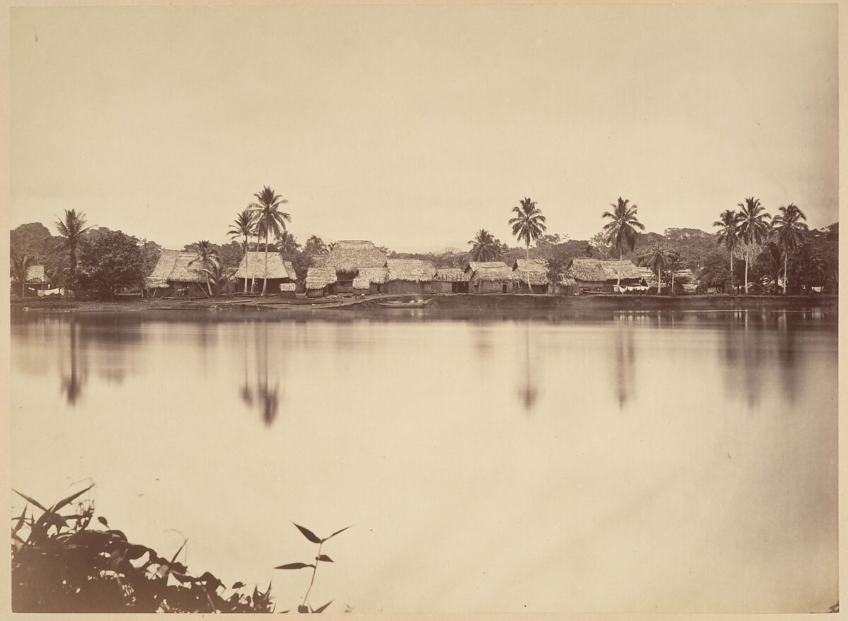 Tropical Scenery, Santa Maria del Real, Darien, John Moran (American (born England), Bolton, Lancashire 1821–1903 Pennsylvania), Albumen silver print from glass negative 