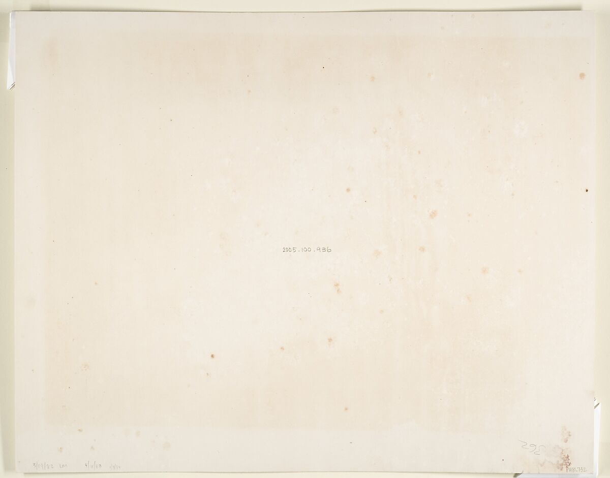 Tropical Scenery, Santa Maria del Real, Darien, John Moran (American (born England), Bolton, Lancashire 1821–1903 Pennsylvania), Albumen silver print from glass negative