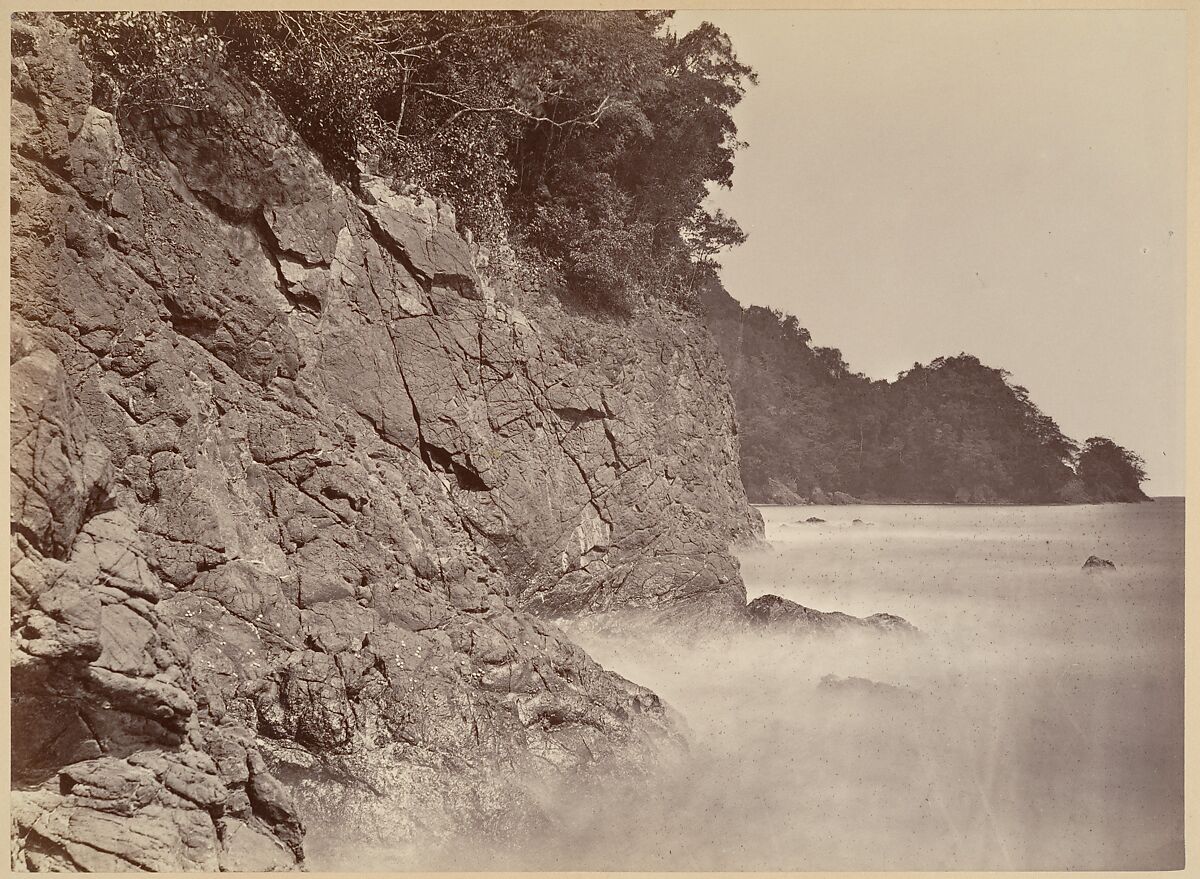 Tropical Scenery, Cliff - Limon Bay, John Moran (American (born England), Bolton, Lancashire 1821–1903 Pennsylvania), Albumen silver print from glass negative 