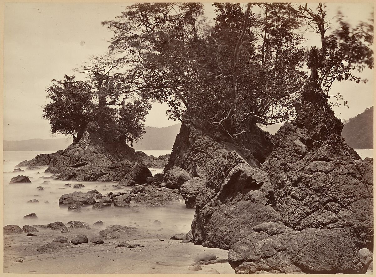 Tropical Scenery, Limon Bay - Low Tide, John Moran (American (born England), Bolton, Lancashire 1821–1903 Pennsylvania), Albumen silver print from glass negative 
