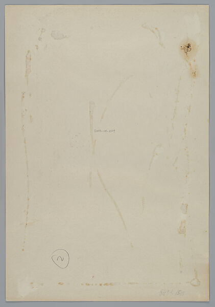 [Stephen Tennant], Cecil Beaton (British, London 1904–1980 Broadchalke), Gelatin silver print