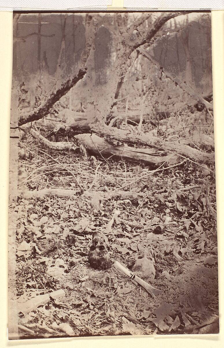 [The Wilderness Battlefield, near Spotsylvania, Virginia], G. O. Brown, Albumen silver print from glass negative