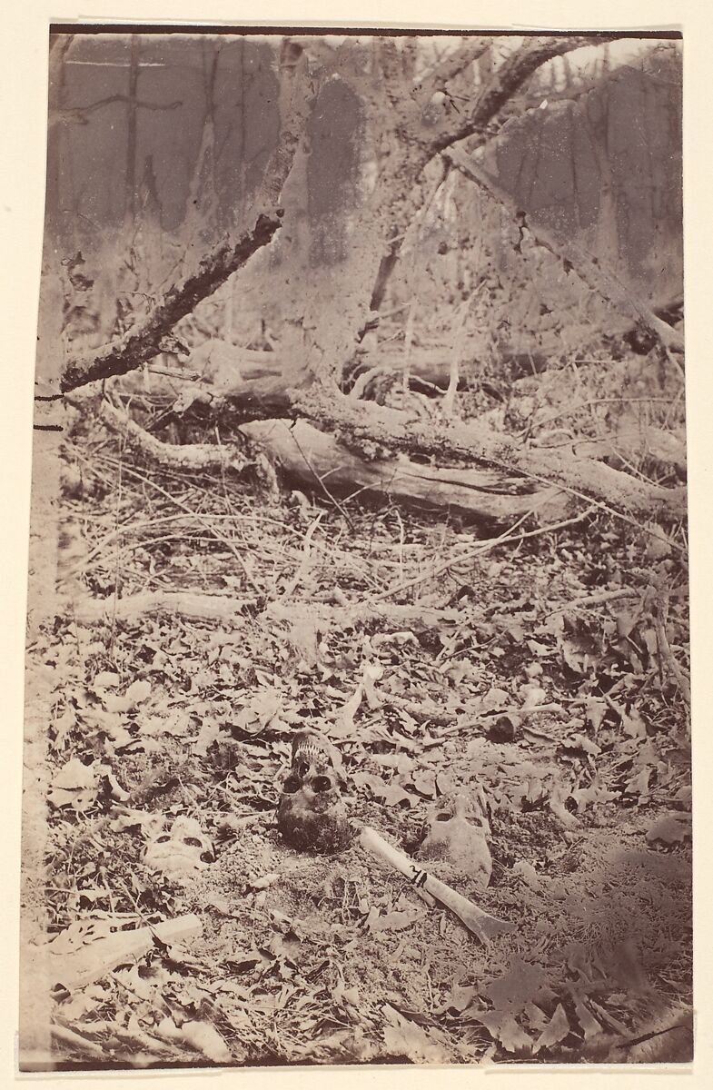 [The Wilderness Battlefield, near Spotsylvania, Virginia], Unknown (American), Albumen silver print from glass negative 