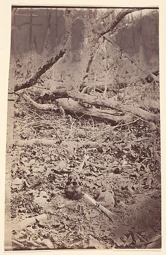 [The Wilderness Battlefield, near Spotsylvania, Virginia]