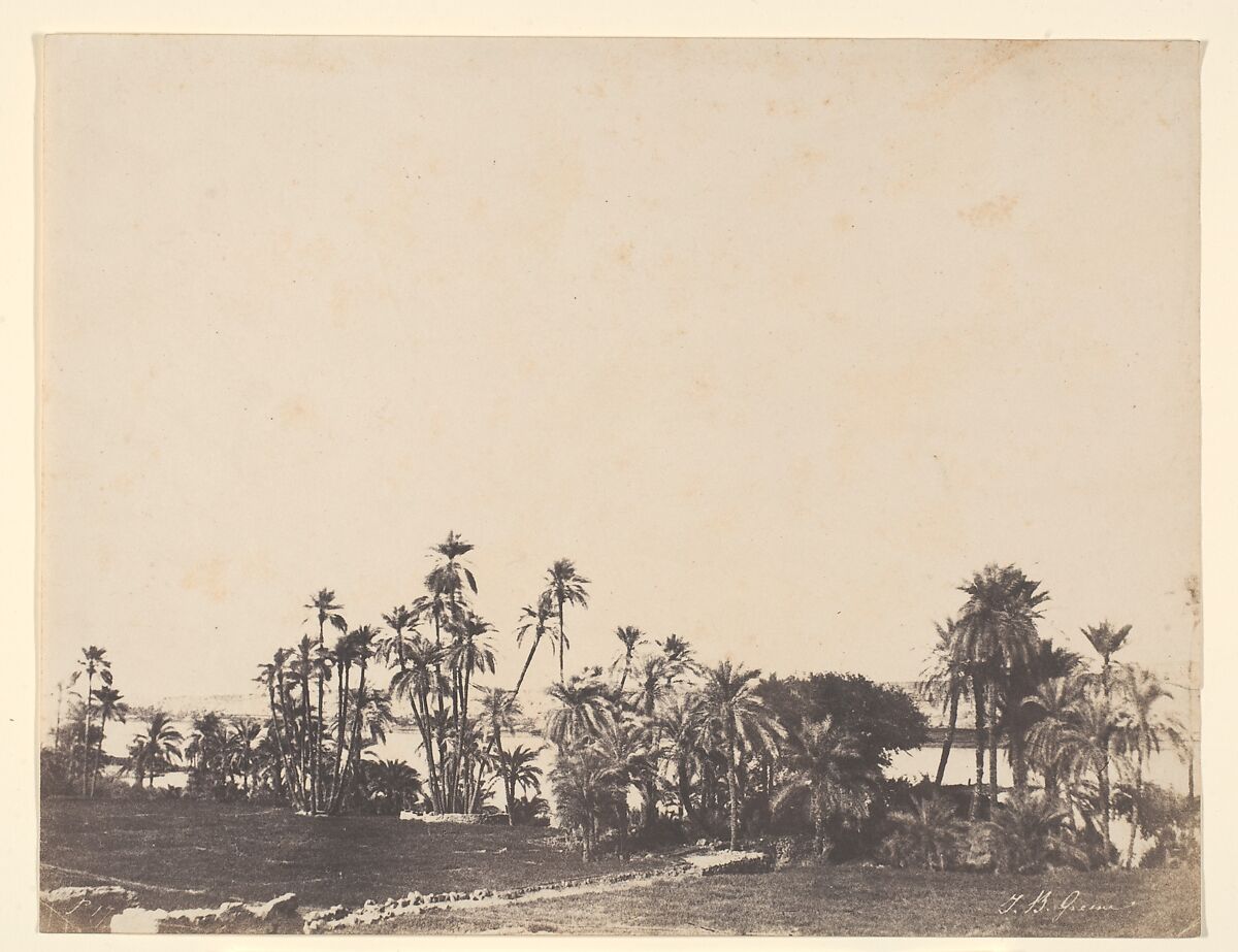 Etude de Palmiers, Bords du Nil, Kalabschi, John Beasley Greene (American, active France, 1832–1856), Salted paper print from paper negative 