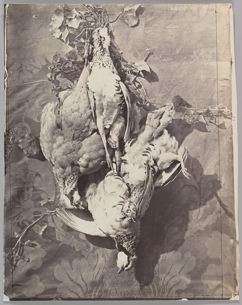 [Still Life with Game Birds], Charles Nègre (French, 1820–1880), Albumen silver print from glass negative 