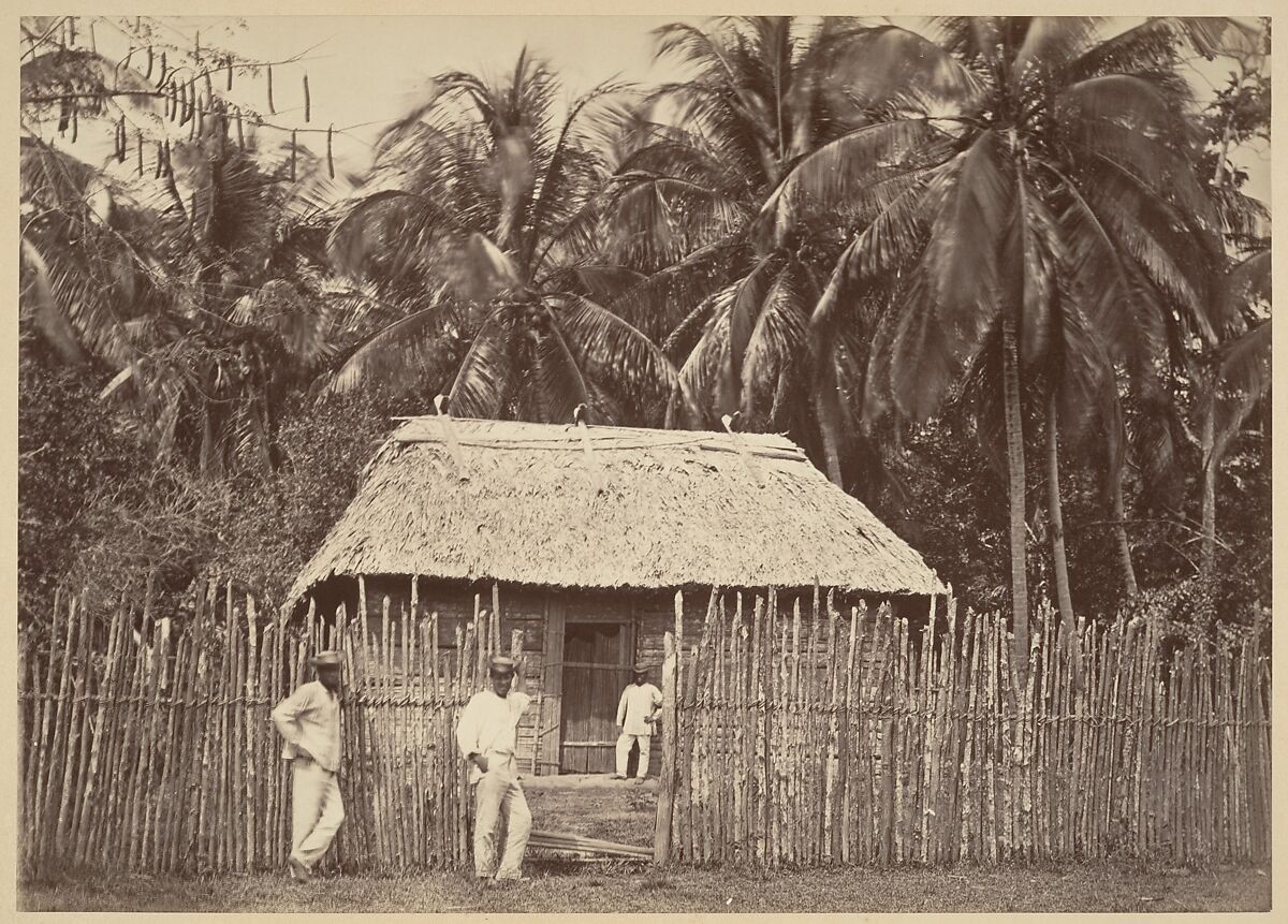 Tropical Scenery, Native Hut, Turbo, John Moran (American (born England), Bolton, Lancashire 1821–1903 Pennsylvania), Albumen silver print from glass negative 