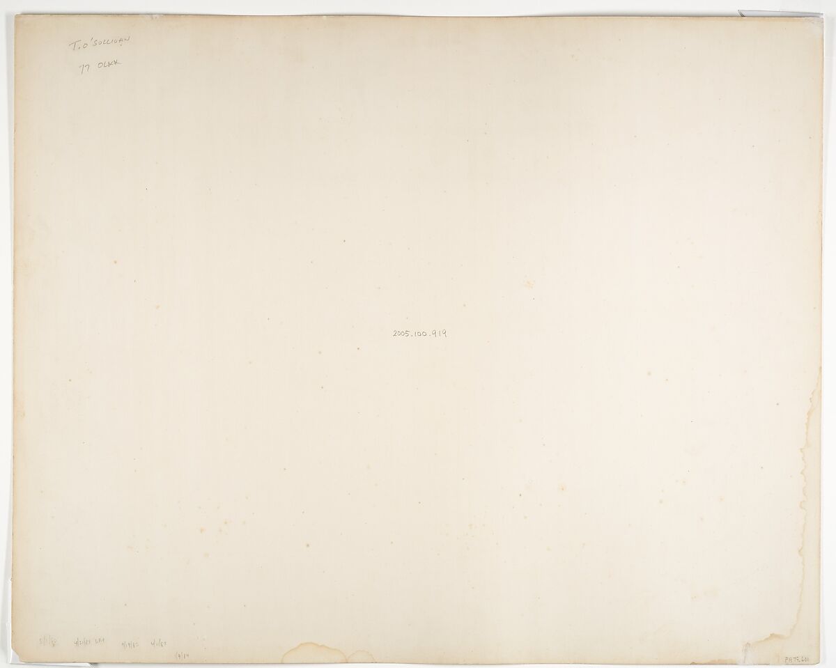 Tropical Scenery, Native Hut, Turbo, John Moran (American (born England), Bolton, Lancashire 1821–1903 Pennsylvania), Albumen silver print from glass negative