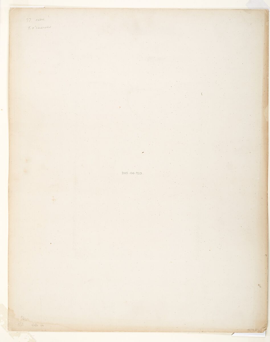 Tropical Scenery, Tropical Forest, John Moran (American (born England), Bolton, Lancashire 1821–1903 Pennsylvania), Albumen silver print from glass negative