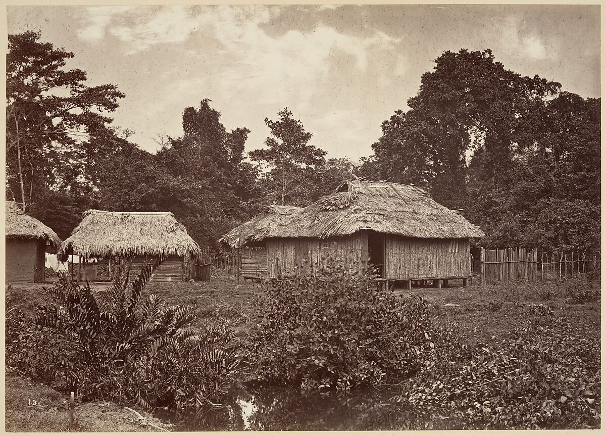 Tropical Scenery, Turbo Village, John Moran (American (born England), Bolton, Lancashire 1821–1903 Pennsylvania), Albumen silver print from glass negative 