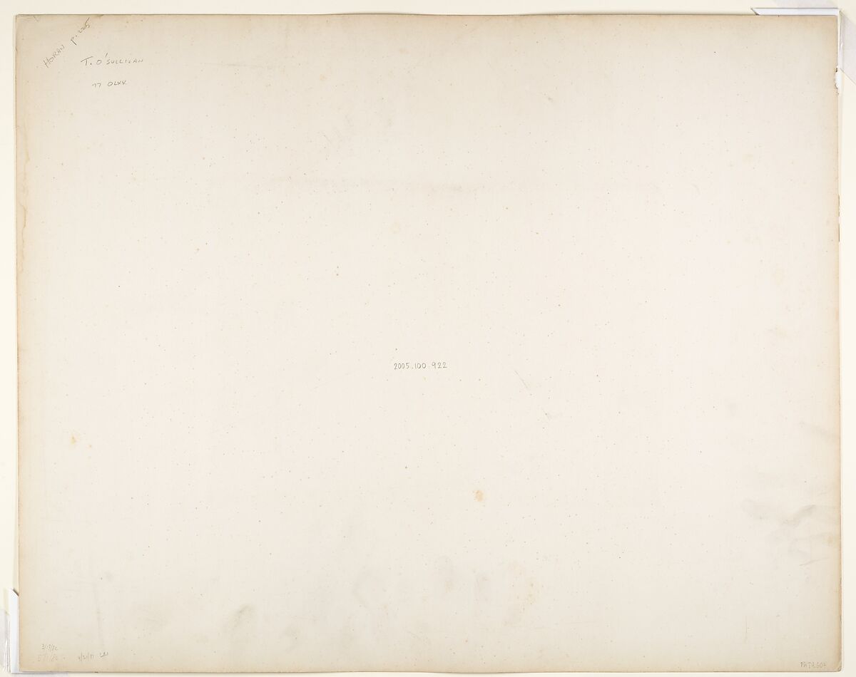 Tropical Scenery, Turbo Village, John Moran (American (born England), Bolton, Lancashire 1821–1903 Pennsylvania), Albumen silver print from glass negative